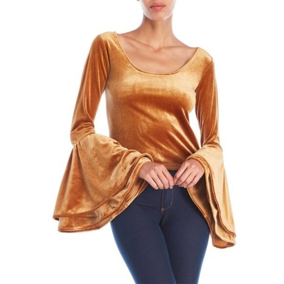 Torn by Ronny Kobo Velvet Flare Sleeve Top - Picture 1 of 9